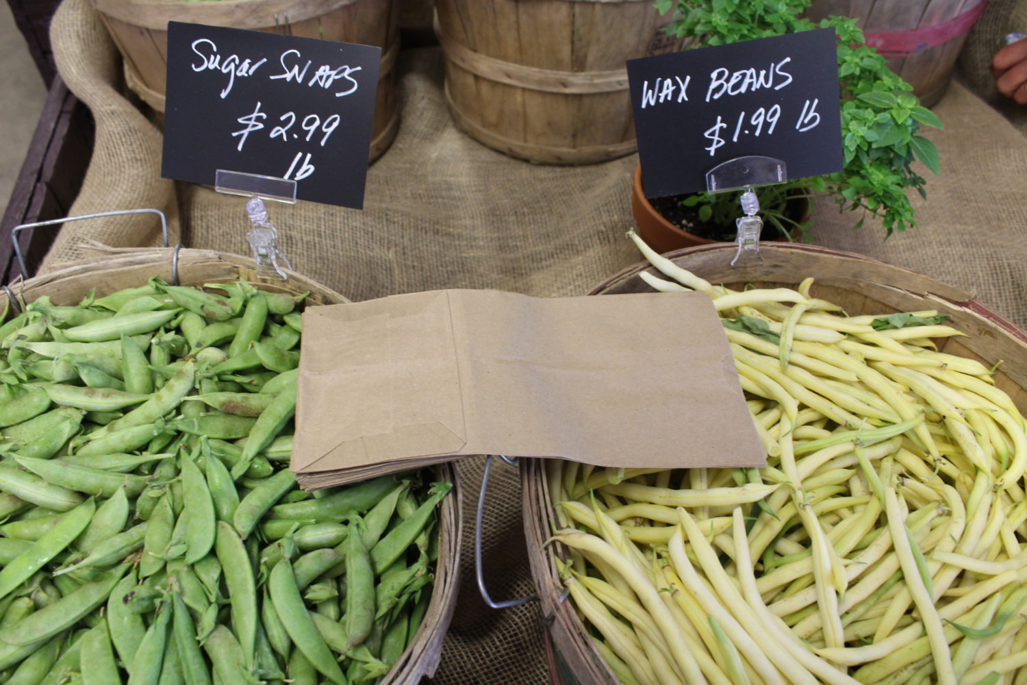 Farm Stand - Hudson Valley Farm Hub