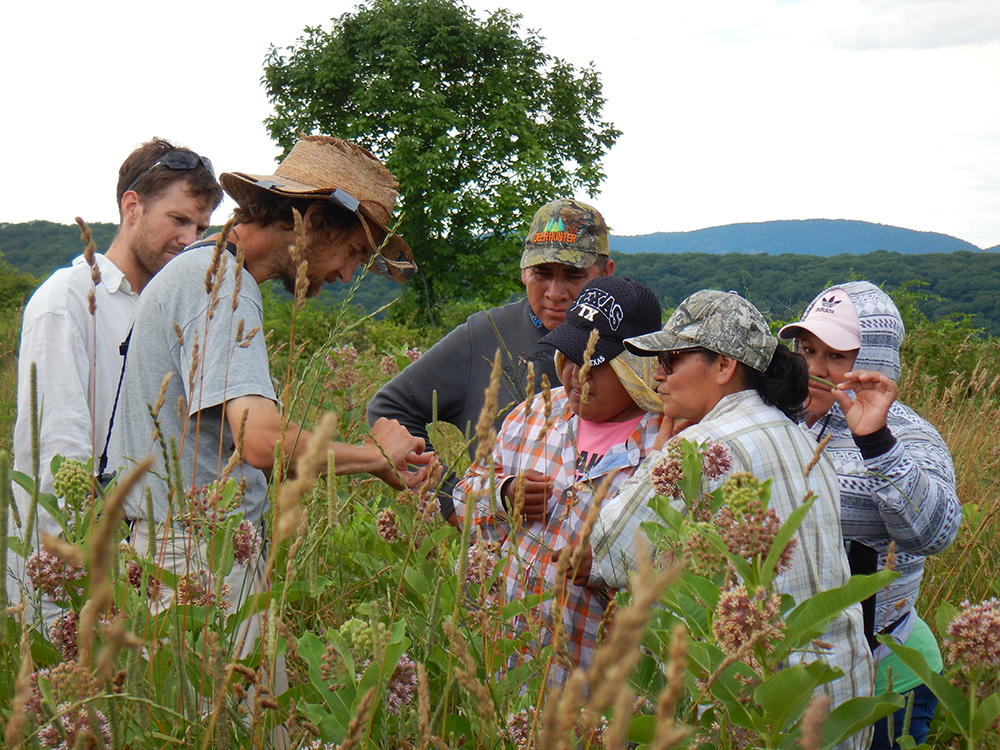 People in field