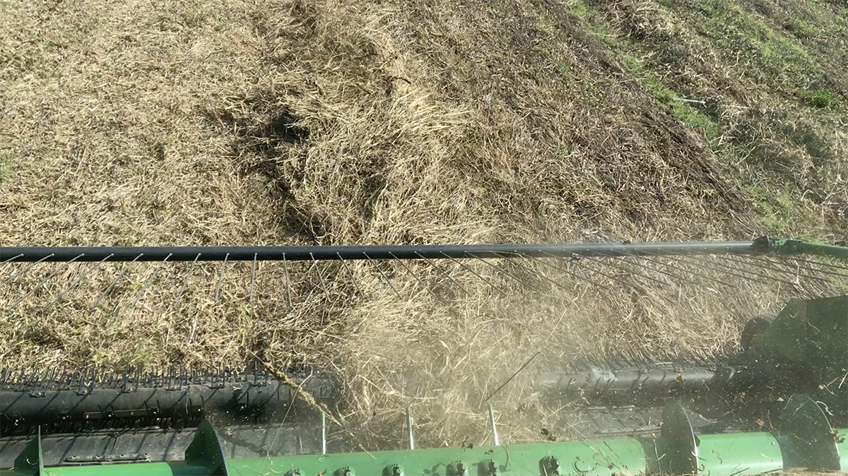 Harvesting windrowed pinto beans with belt header. The photo was taken on October 5, 2020