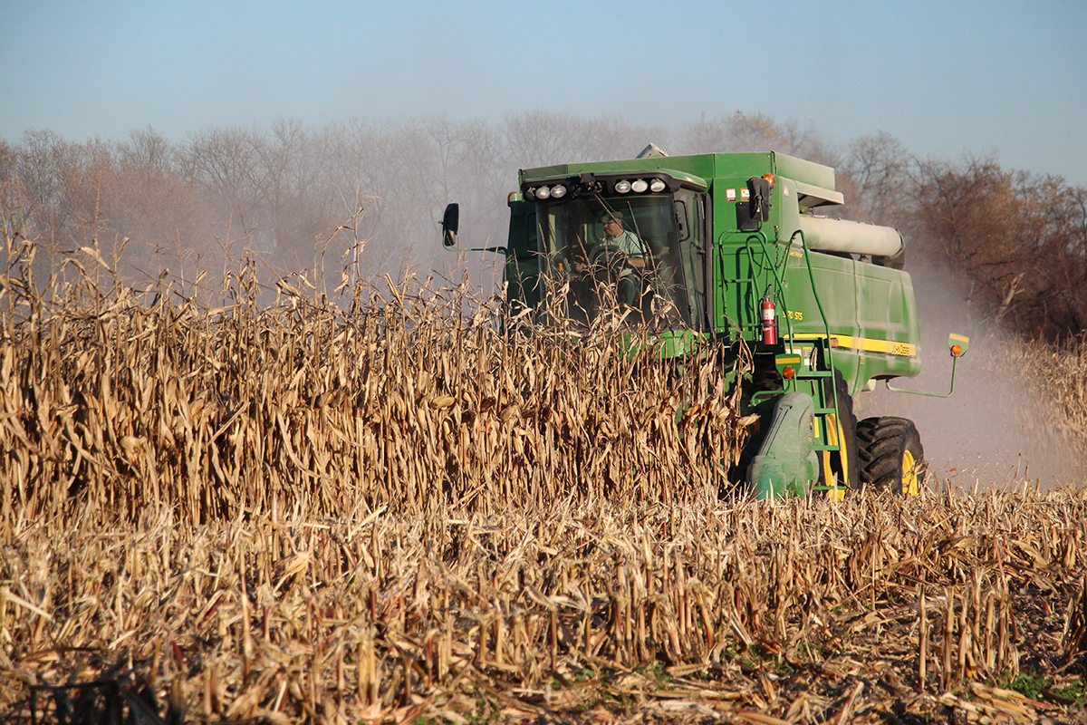 grain corn harvest - Hudson Valley Farm Hub