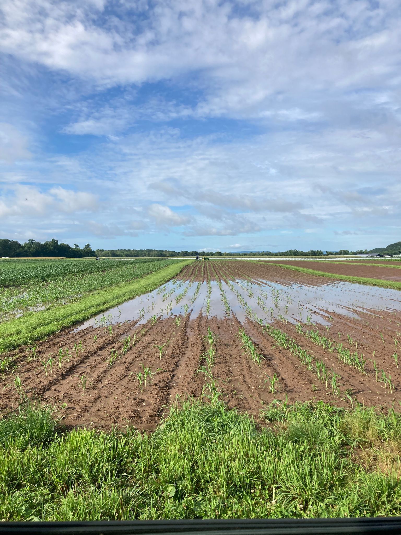 Estación Meteorológica para agricultura:Viento, lluvia, humedad