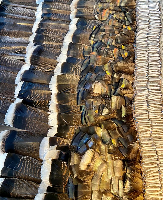 Turkey Feather Cape, 2021, Rebecca Haff Lowry. Turkey feathers, glass beads, dentalium shells, hemp string. 34.5 inches H x 51.5 inches W. Courtesy the Artist. Photo Kim Mettler.