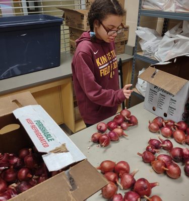 A student at Kingston High School packs onions from the Farm Hub as part of the BackPack Program. Photo Courtesy of Jessica Clegg, Ulster BOCES