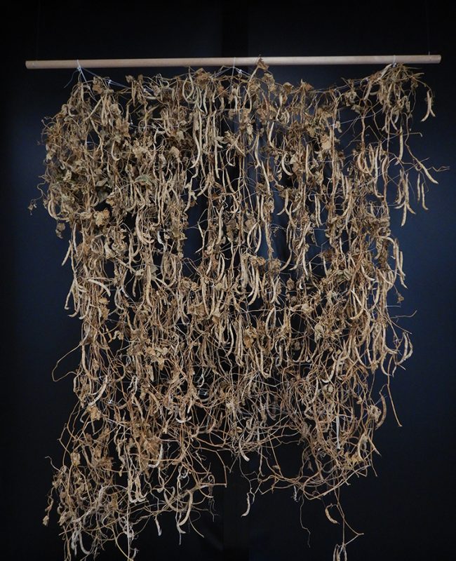 A tapestry of dried beans hangs on a wall at the exhibition.